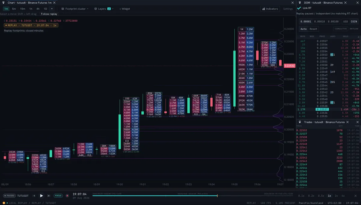 Recorded footprints. Inspect the trading inside each minute.